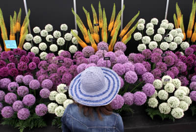 Ireland’s own Chelsea flower show is Bloom-ing lovely